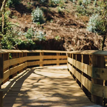 酒店 Octant Douro 派瓦堡