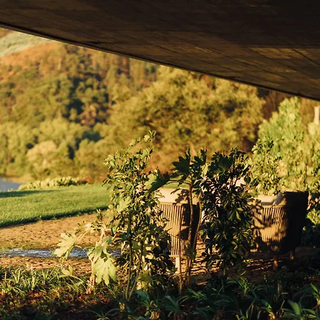 Octant Douro 酒店 派瓦堡